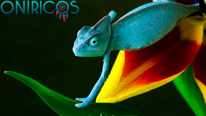 SOÑAR con un CAMALEÓN 🦎 ¿Qué Significa? ¿Qué quiere decir?¿Qué Significa? ¿Qué quiere decir?