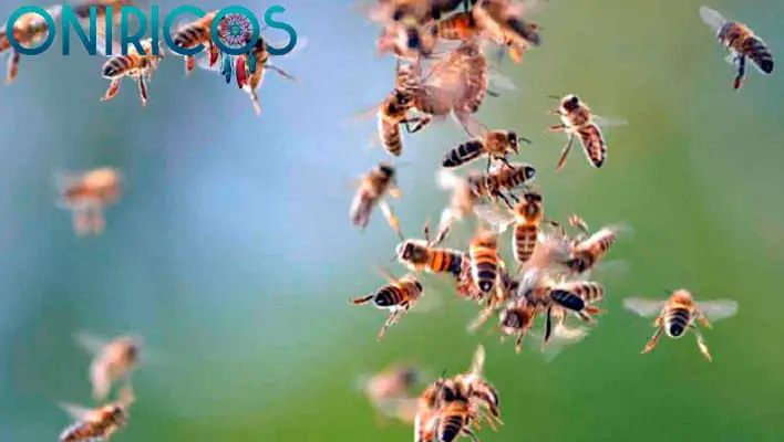 soñar con abejas atacando - oniromancia