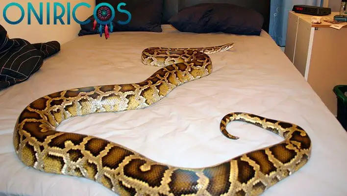 soñar con una serpiente en la cama - oníricos
