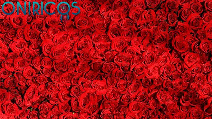 soñar con muchas rosas rojas - oniromancia