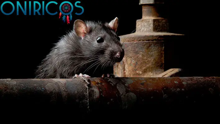 soñar con ratas - oniromancia