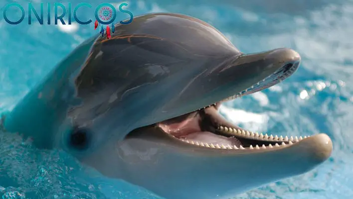 Soñar con delfines